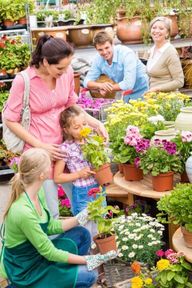 Where To Buy Plants London – 10 Best Plant Shops Near London