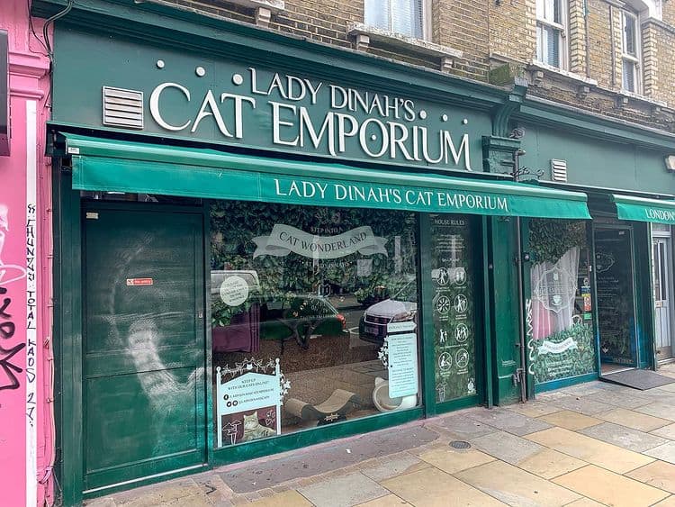 Lady Dinahs Cat Emporium