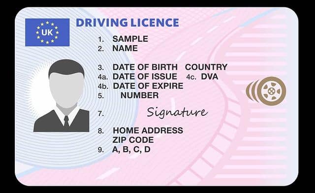 check my drivers licence